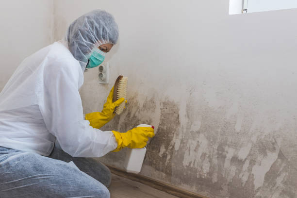 Best Water Damage & Mold Remediation  in Flanders, NJ