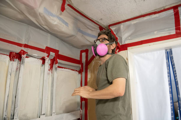 Reliable Flanders, NJ Mold Removal Solutions