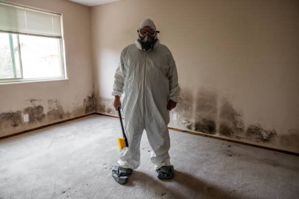 Best Residential Mold Inspection & Testing  in Flanders, NJ